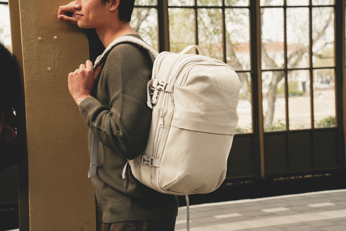 Limited Canvas (Carry-On)